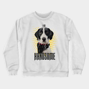 Handsome Dot Crewneck Sweatshirt